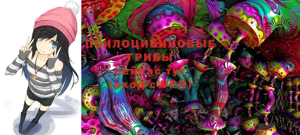 PSILOCYBIN Алексеевка