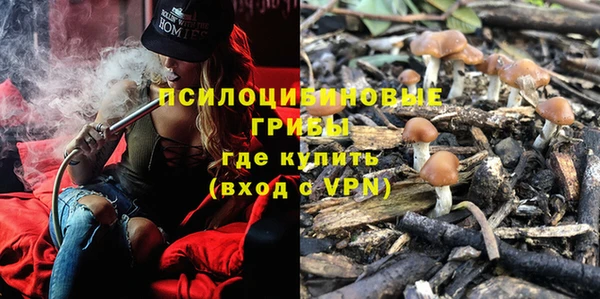 меф Алексин